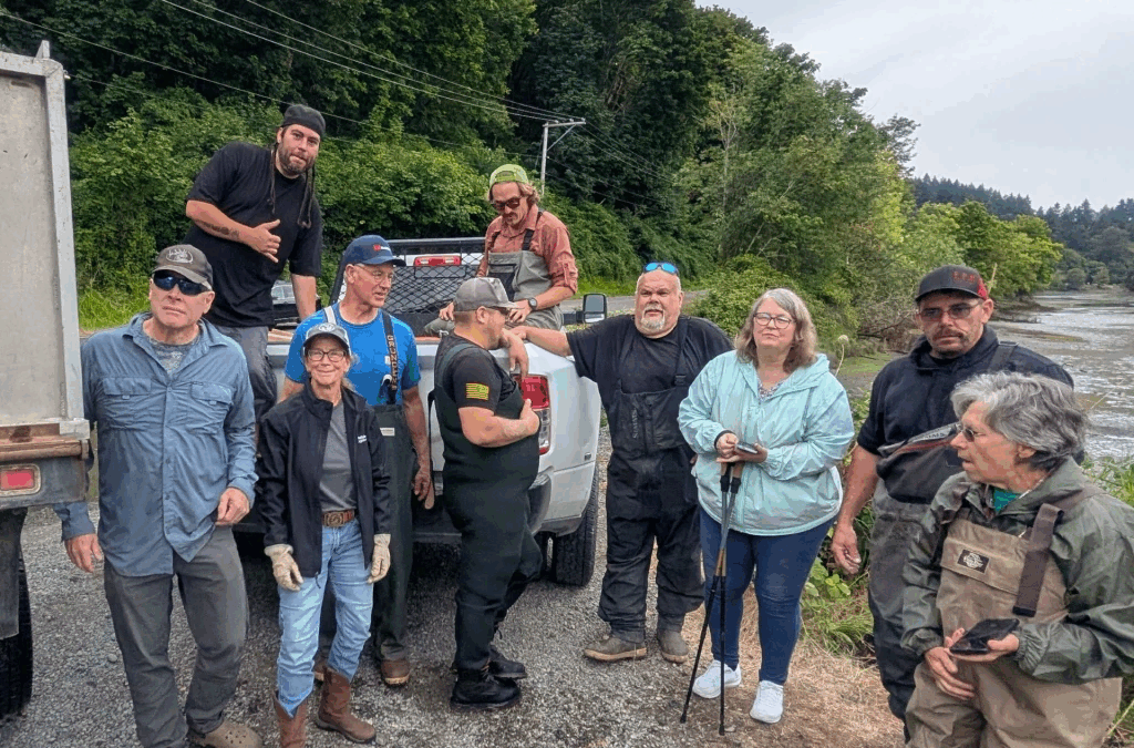 Chambers Bay Estuary, fish ladder repair and more
