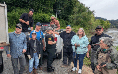 Chambers Bay Estuary, fish ladder repair and more